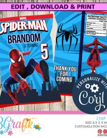 Spiderman Chip Bag