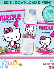 Hello Kitty Birthday bundle, hello kitty chip bag, hello kitty water label, hello kitty caprisun