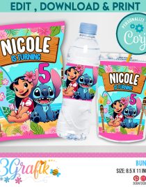 Lilo & Stitch Chip Bags